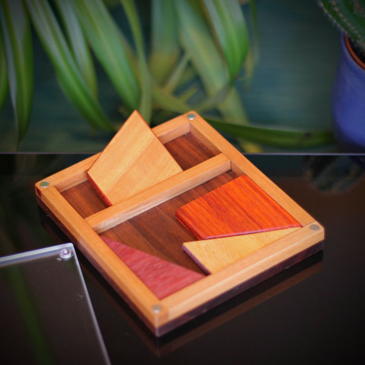 Tray Puzzles