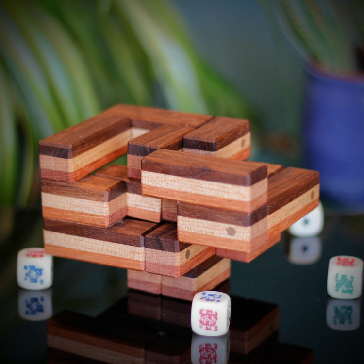 Interlocking Puzzles
